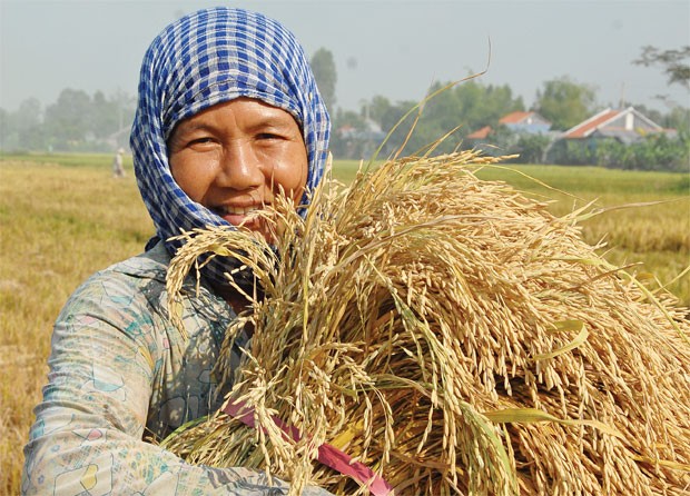 20 năm cho một tấm lá chắn rủi ro